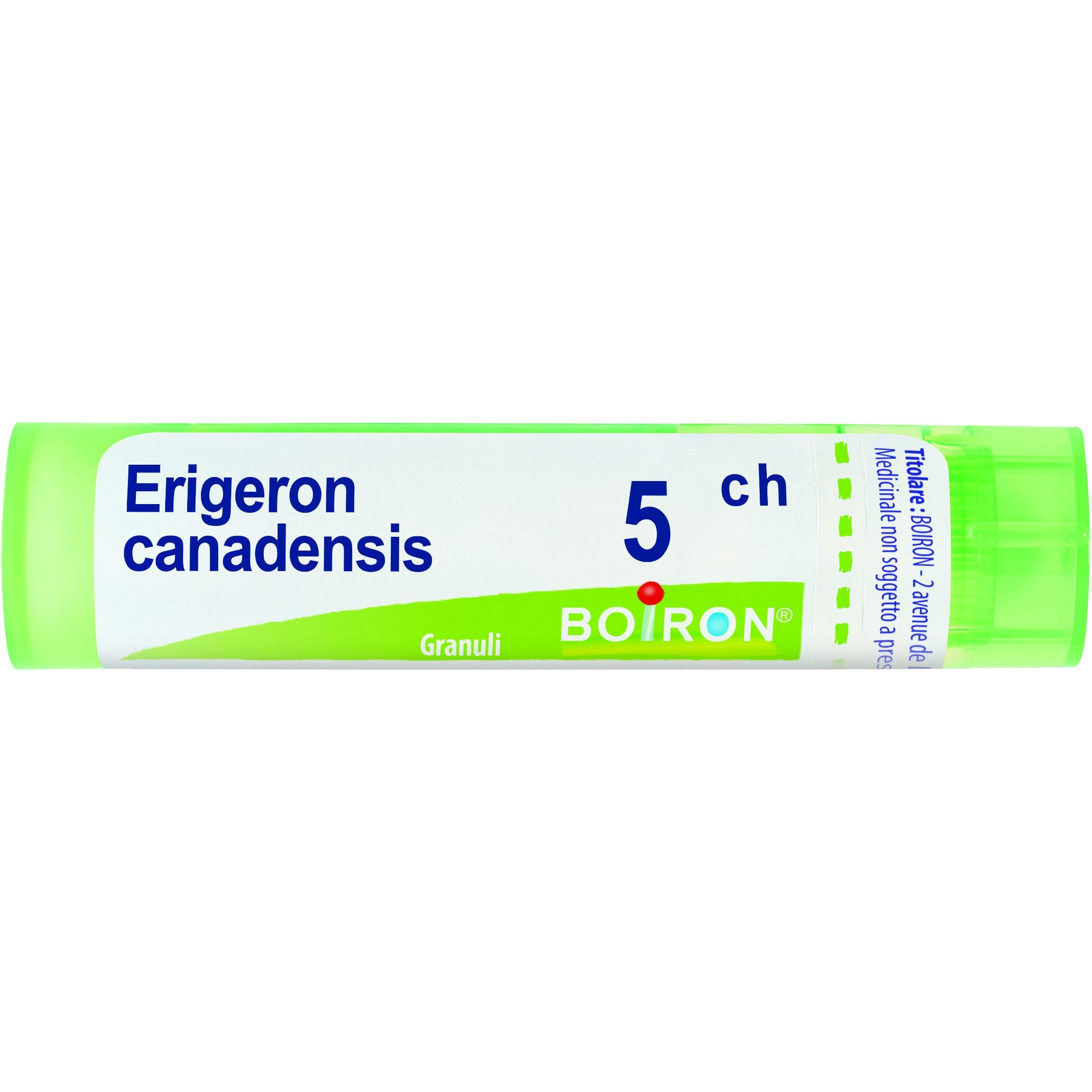 Boiron Erigeron Canadensis Granuli 05Ch Tubo 4g  - 1