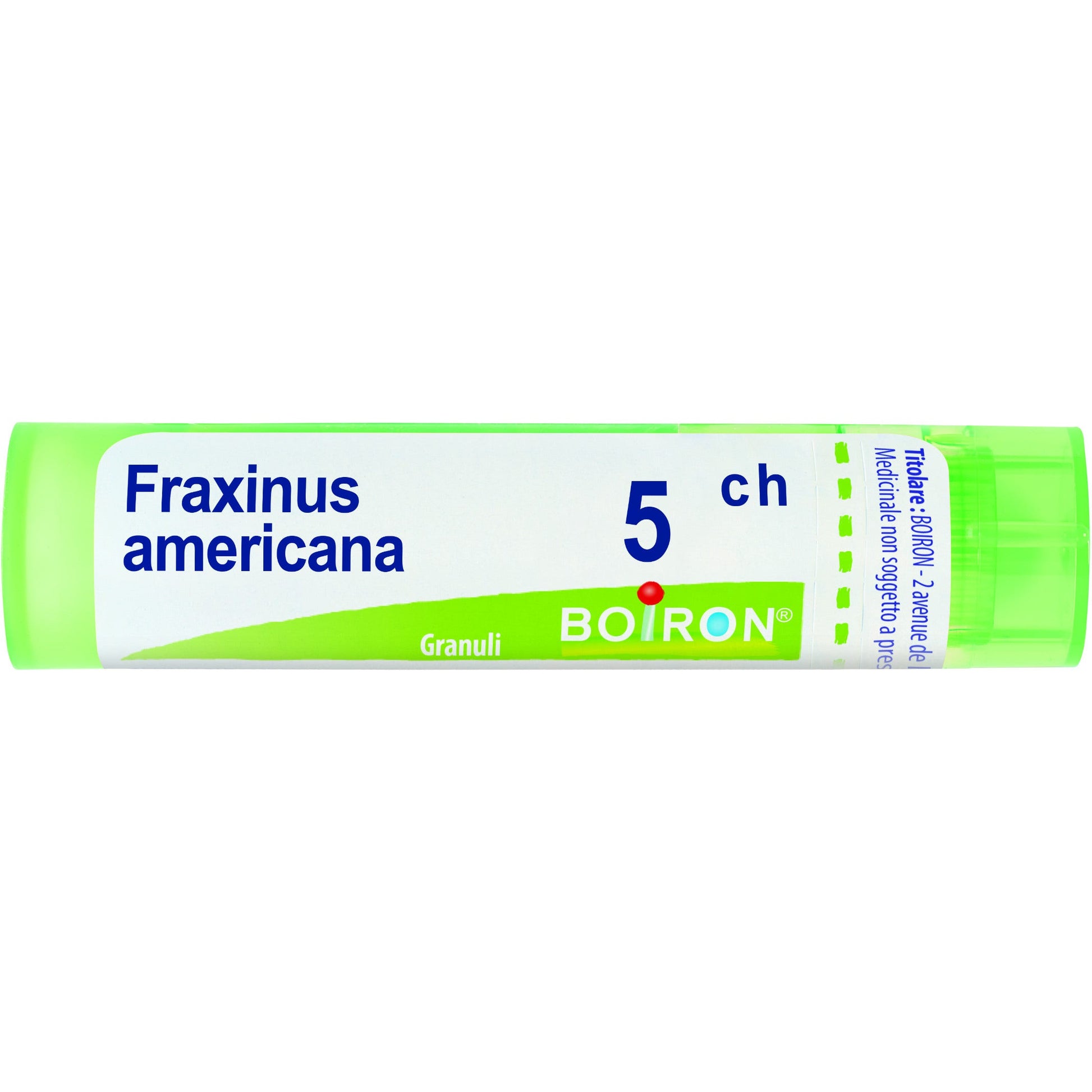 Boiron Fraxinus Americana Granuli 05Ch Tubo 4g  - 1