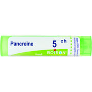 Boiron Pancreine Granuli 05Ch Tubo 4g  - 1