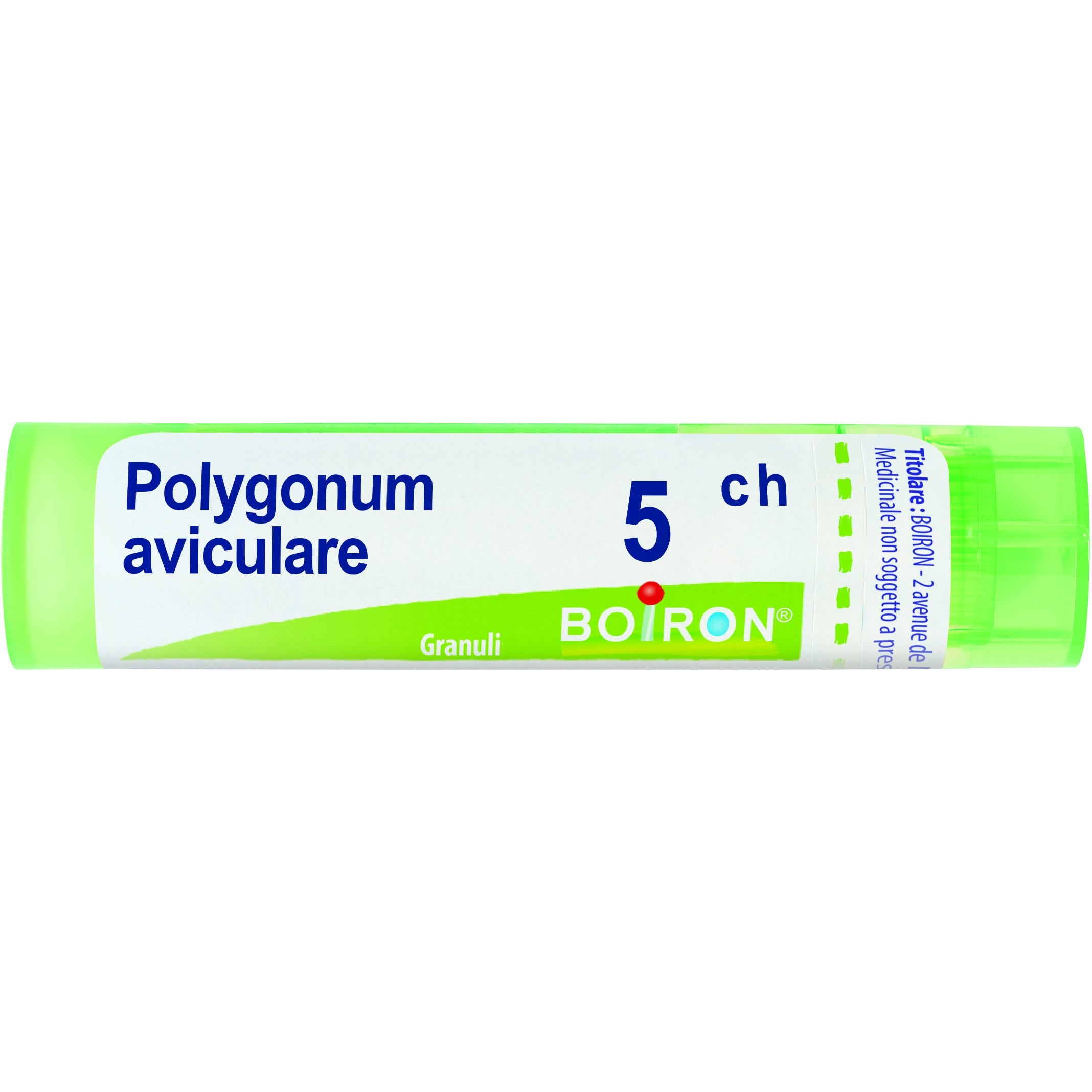 Boiron Polygonum Aviculare Granuli 05Ch Tubo 4g - 1