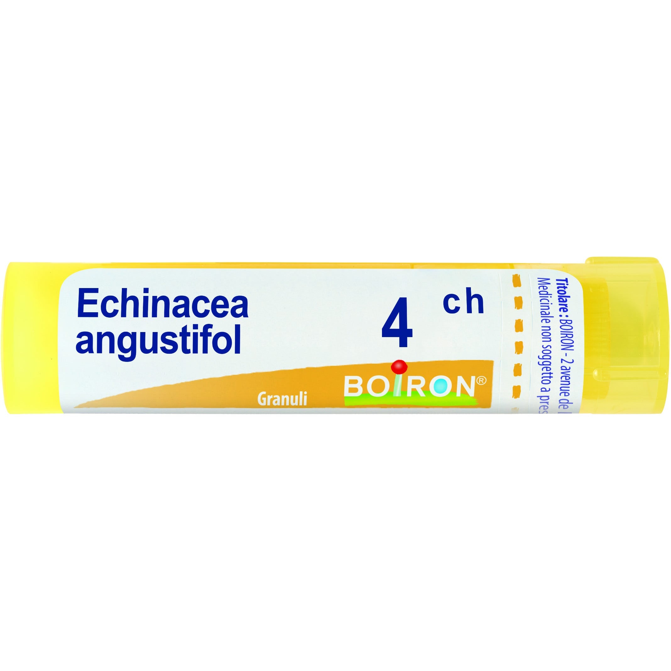 Boiron Echinacea Angustifolia Granuli 04Ch Tubo 4g  - 1