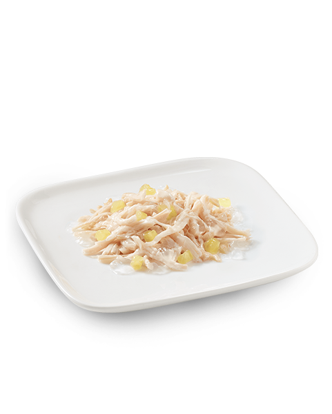 Schesir Pollo Con Ananas Cibo Umido Cani Adulti Lattina 150 g-3
