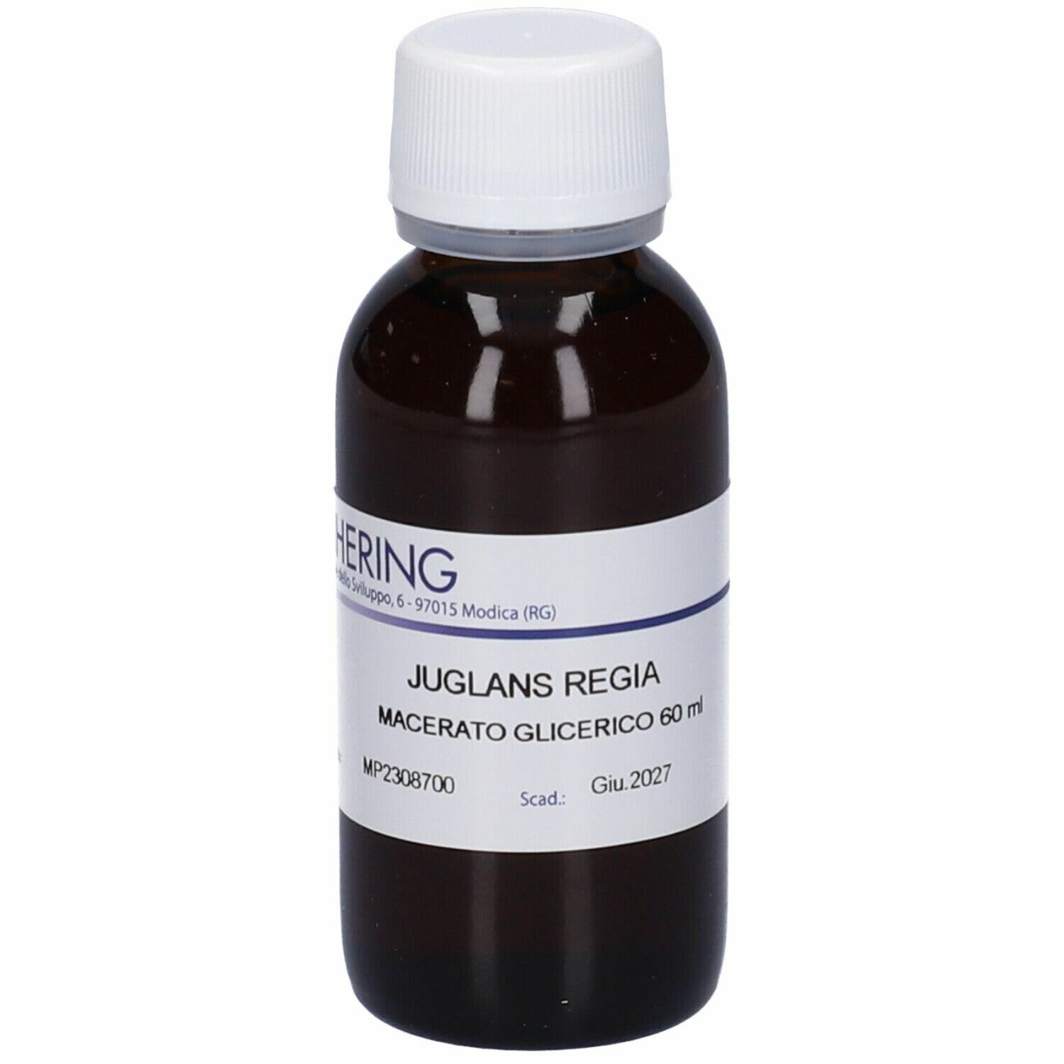 Junglans Regia Gemme Macerato Glicerico 60ml-1