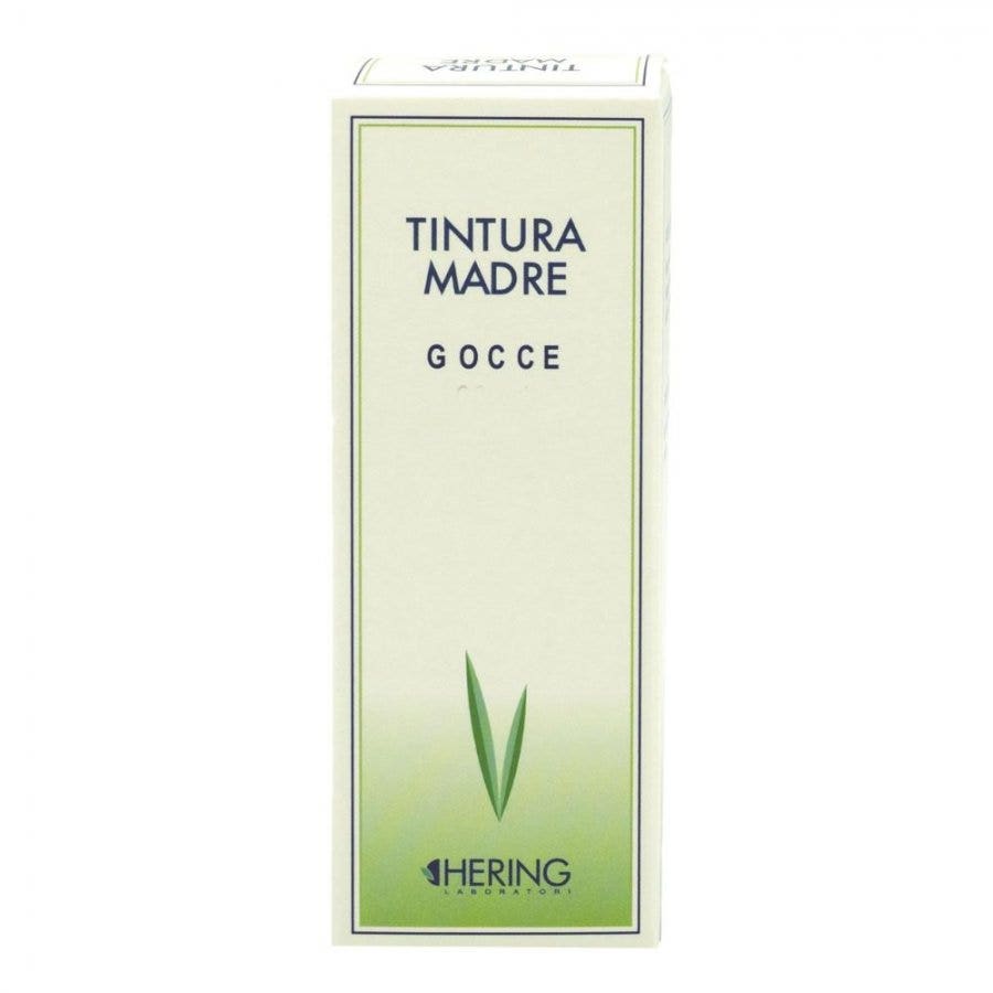 Hering Ginkgo Biloba Tintura Madre 125ml-1