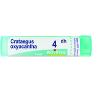Boiron Crataegus Oxyacantha Granuli 04Dh Tubo 4g  - 1