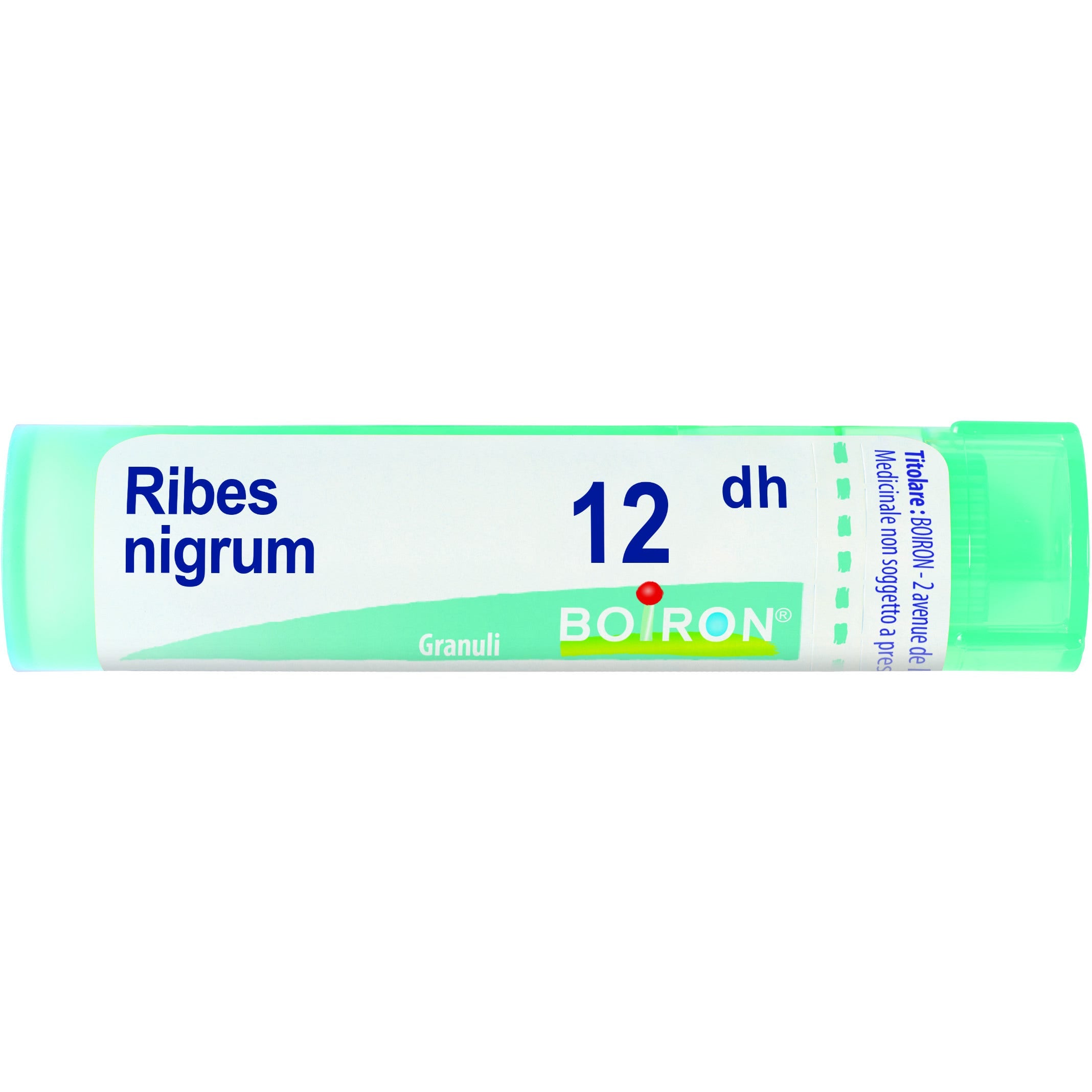 Boiron Ribes Nigrum Granuli 12Dh Tubo 4g  - 1