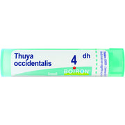 Boiron Thuya Occidentalis Granuli 04Dh Tubo 4g  - 1