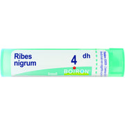 Boiron Ribes Nigrum Granuli 04Dh Tubo 4g  - 1