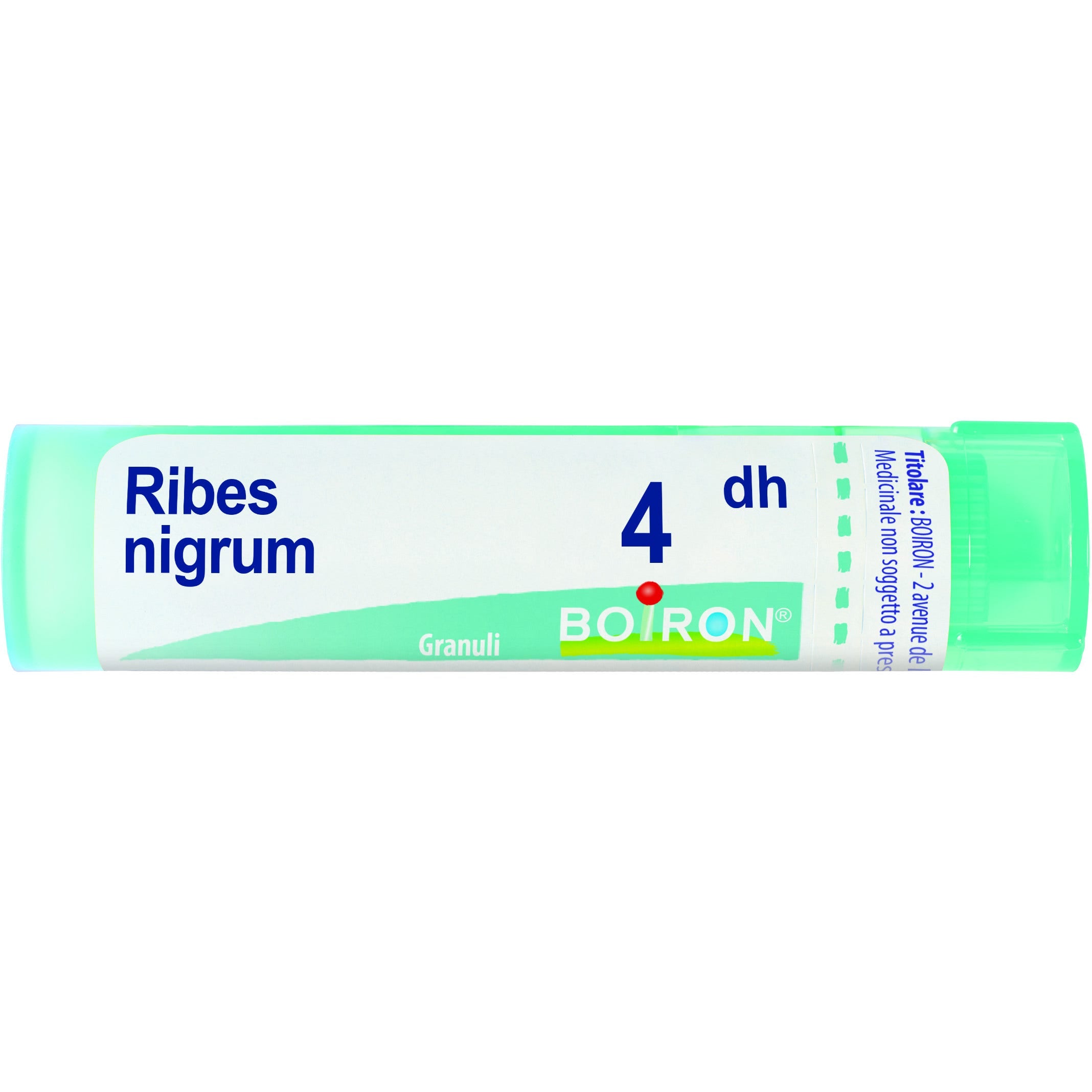 Boiron Ribes Nigrum Granuli 04Dh Tubo 4g  - 1