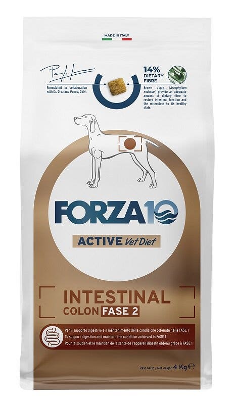 Forza10 Active Intestinal Colon Fase 2 Cibo Secco Pesce Cani Adulti Sacco 4kg-1