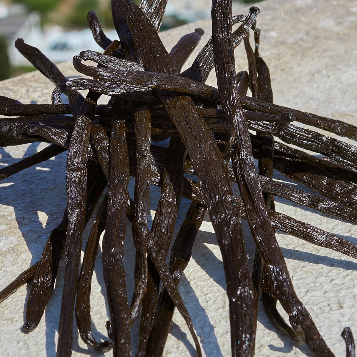 Devotion Eau de Parfum Refill, 150ml