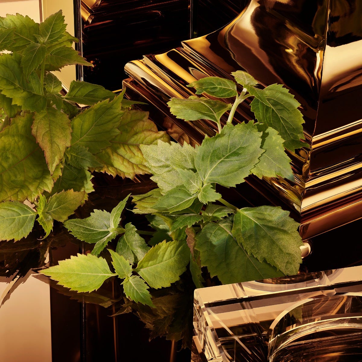 Dolce&Gabbana The One for Men Gold  Eau de Parfum Intense