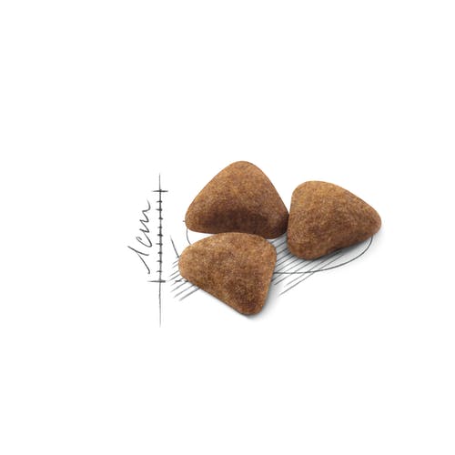 Royal Canin Feline Home Life Indoor 27 Crocchette Per Gatti Sacco 2kg-3