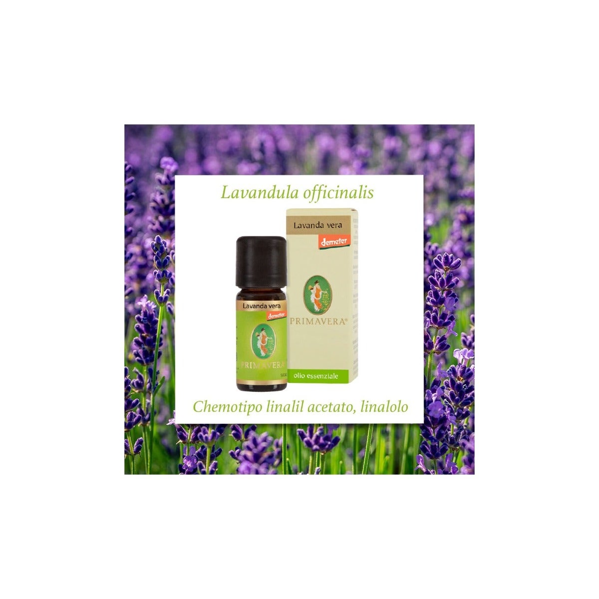 Olio Essenziale Bio Lavanda Vera 10ml-3