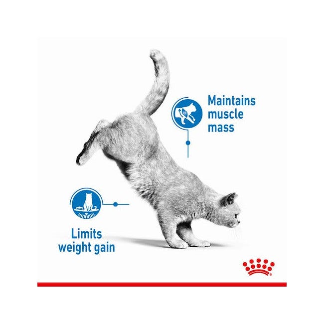 Royal Canin Umido Gatto Light Weight Umido Bustina 85g-4
