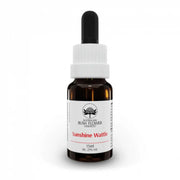 Sunshine Wattle Essenza Singola 15ml Gocce