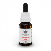 WILD POTATO BUSH AUSTRALIAN 15