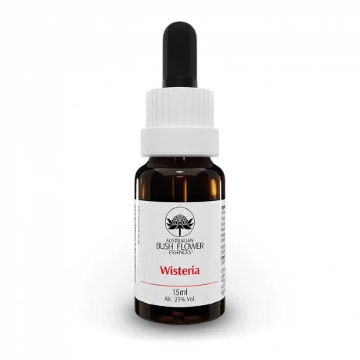 WISTERIA AUSTRALIAN 15ML GTT
