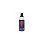 Natur Essenza Singola Californiana FES Indian Paintbrush 7.4ml-1