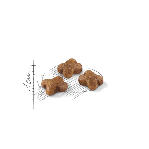 Royal Canin Kitten Crocchette Per Gatti 400g-4