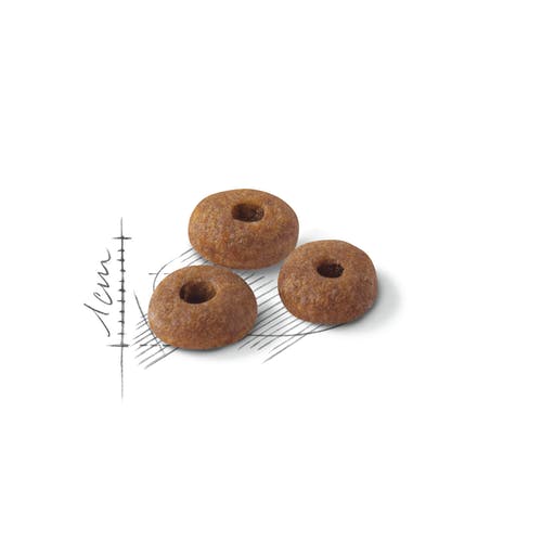 Royal Canin Fit 32 Crocchette Per Gatti Adulti 400g-4