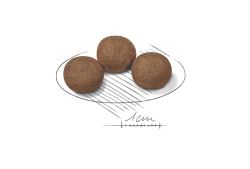 Royal Canin Crocchette Per Cuccioli Taglia Media Sacco 1kg-4