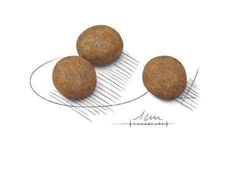 Royal Canin Crocchette Per Cuccioli Taglia Grande Sacco 15kg-4