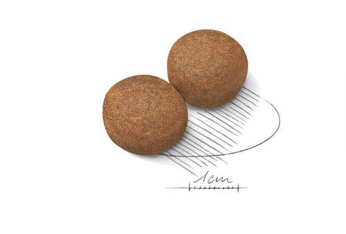 Royal Canin Crocchette Per Cani Adulti Taglia Grande Sacco 4kg-4