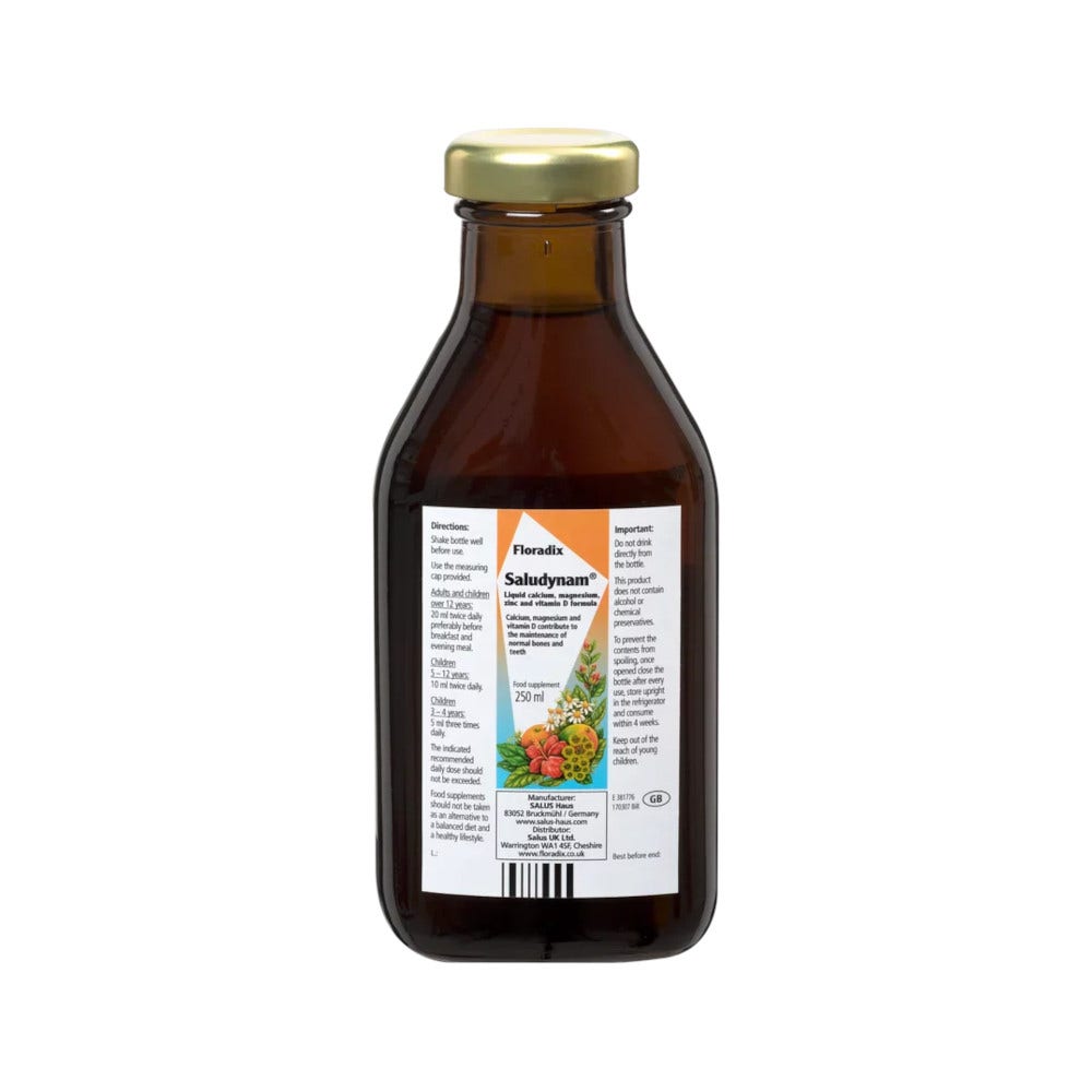 Saludynam Mineral-Drink 250ml-5