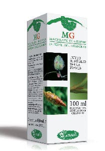 Castagno Macerato Di Gemme 100ml-2