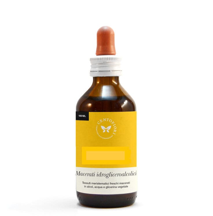 Cento Fiori Rosa Canina 100ml Macerato Di Gemme-1