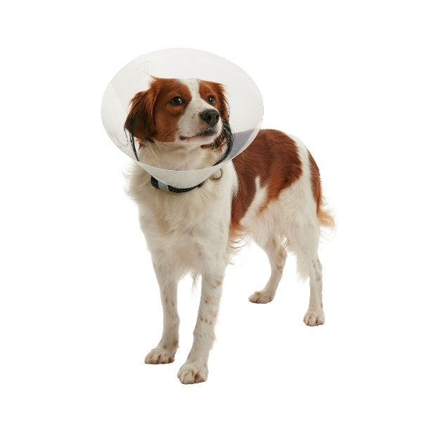 Kruuse Collare Clic Trasparente 20cm-2