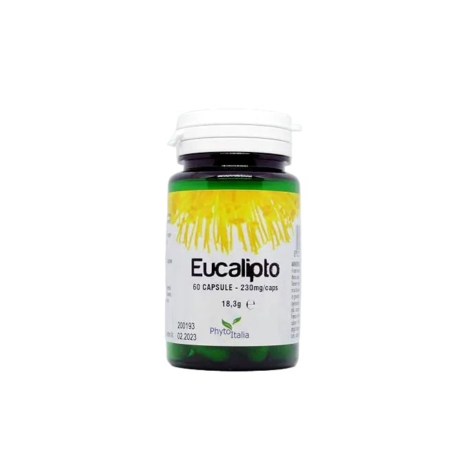 EUCALIPTO 60CPS