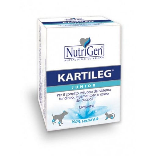 Kartileg Junior 60 Tavolette          - 1