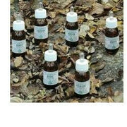 Ka Planta Olio Massaggio 100ml-1