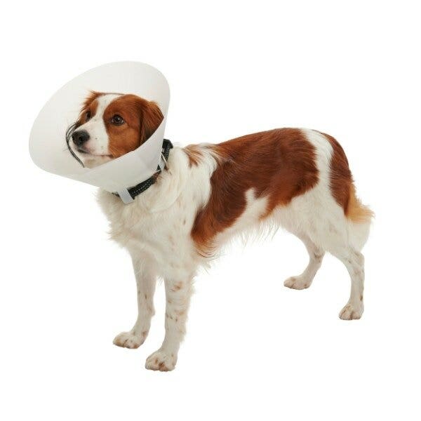 Kruuse Collare Elisabetta Classic 40cm-2