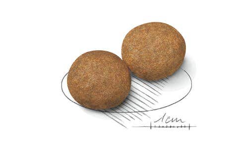 Royal Canin Crocchette Per Cani Adulti Taglia Media Sacco 4kg-4