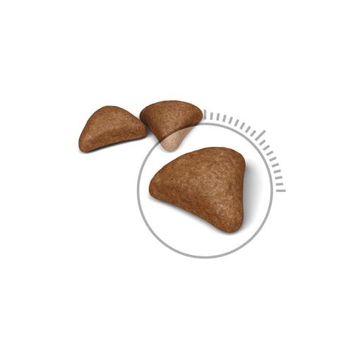 Royal Canin Feline Hairball Care Crocchette Per Gatti Sacco 400g-3