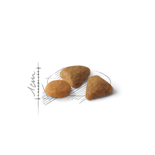 Royal Canin Feline Preference Savour Exigent Crocchette Per Gatti Sacco 400g-3