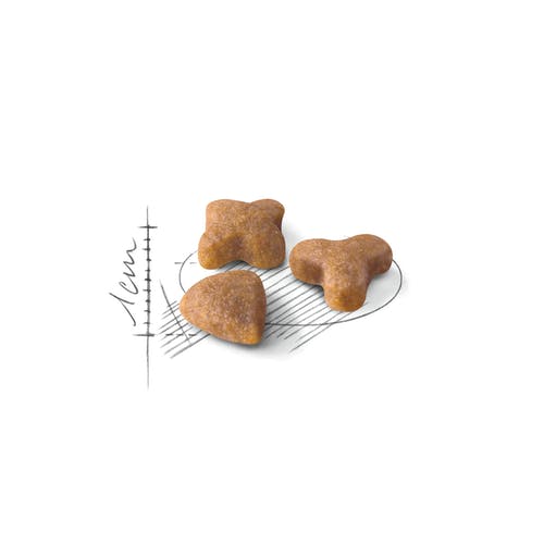 Royal Canin Feline Regular Sensible 33 Crocchette Per Gatti Sacco 400g-3