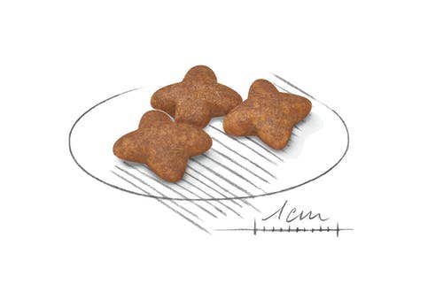 Royal Canin Crocchette Per Cani Adulti Taglia Mini Sacco 4kg-2