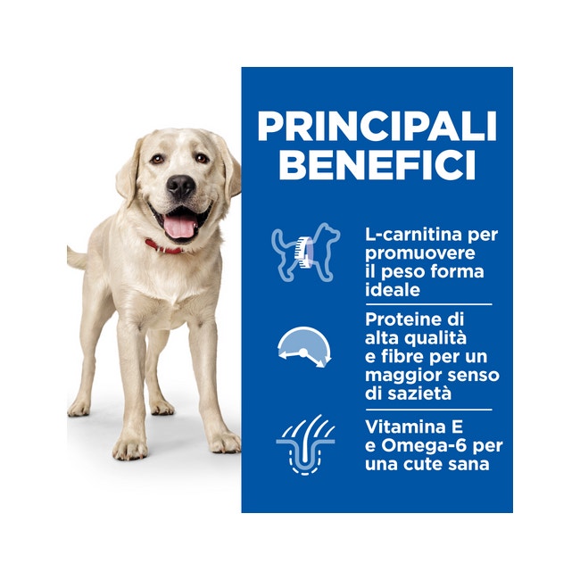 Hill's Science Plan Light Adult 1 - 6 Anni Crocchette Pollo Per Cani Taglia Grande Sacco 12kg-1