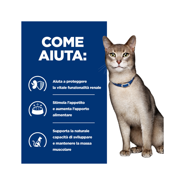 Hill's Prescription Diet K/D Salute Dei Reni Con Pollo Crocchette Per Gatti Sacco 1,5 Kg-4
