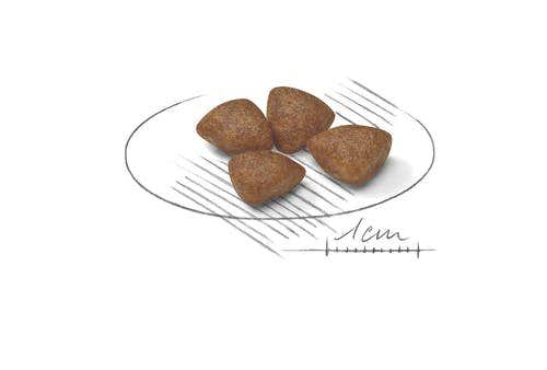 Royal Canin Starter Mother&Babydog Crocchette Per Cagne E Cuccioli Taglia Piccola Sacco 1kg-2