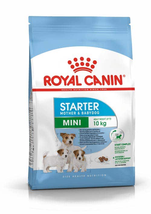Royal Canin Starter Mother&Babydog Crocchette Per Cagne E Cuccioli Taglia Piccola Sacco 1kg-1
