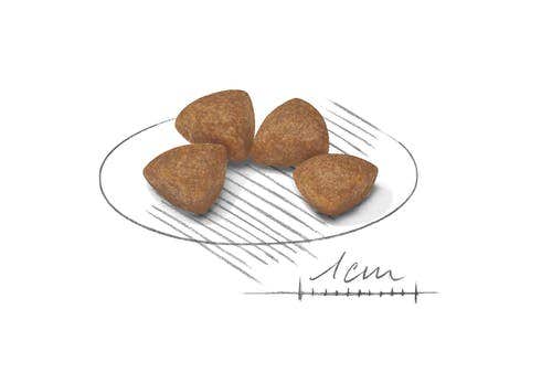 Royal Canin Crocchette Per Cuccioli Taglia Molto Piccola Sacco 500g-3