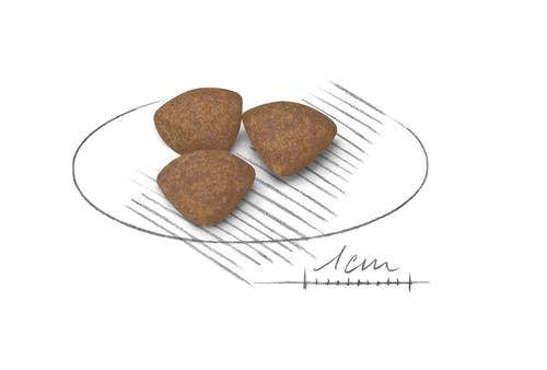 Royal Canin Crocchette Per Cuccioli Taglia Mini Sacco 4kg-1