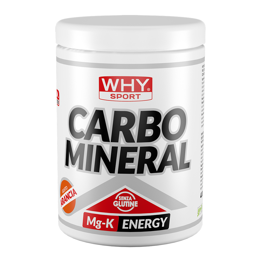 Whysport Carbo Mineral Arancia 400g-1