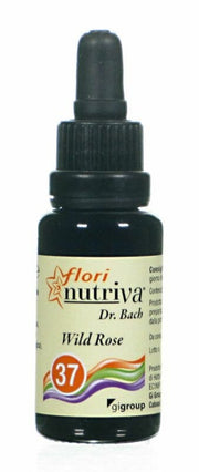 WILD ROSE FLORI NUTRIVA-1