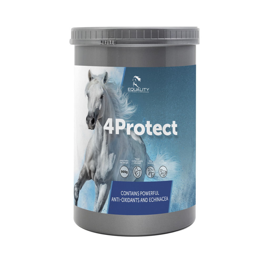 4 Protect Mangime Complementare Per Difese Organismo Equini Barattolo 900g